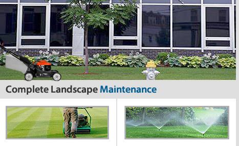 Complete Landscape Maintenance
